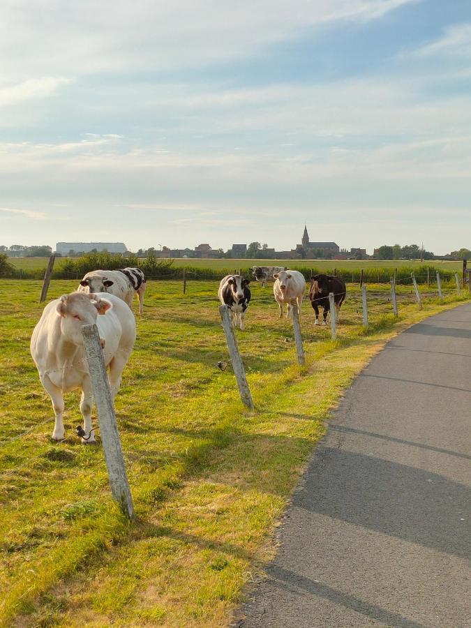 Gastenverblijf Hof Moye Tyt Middelkerke Luaran gambar